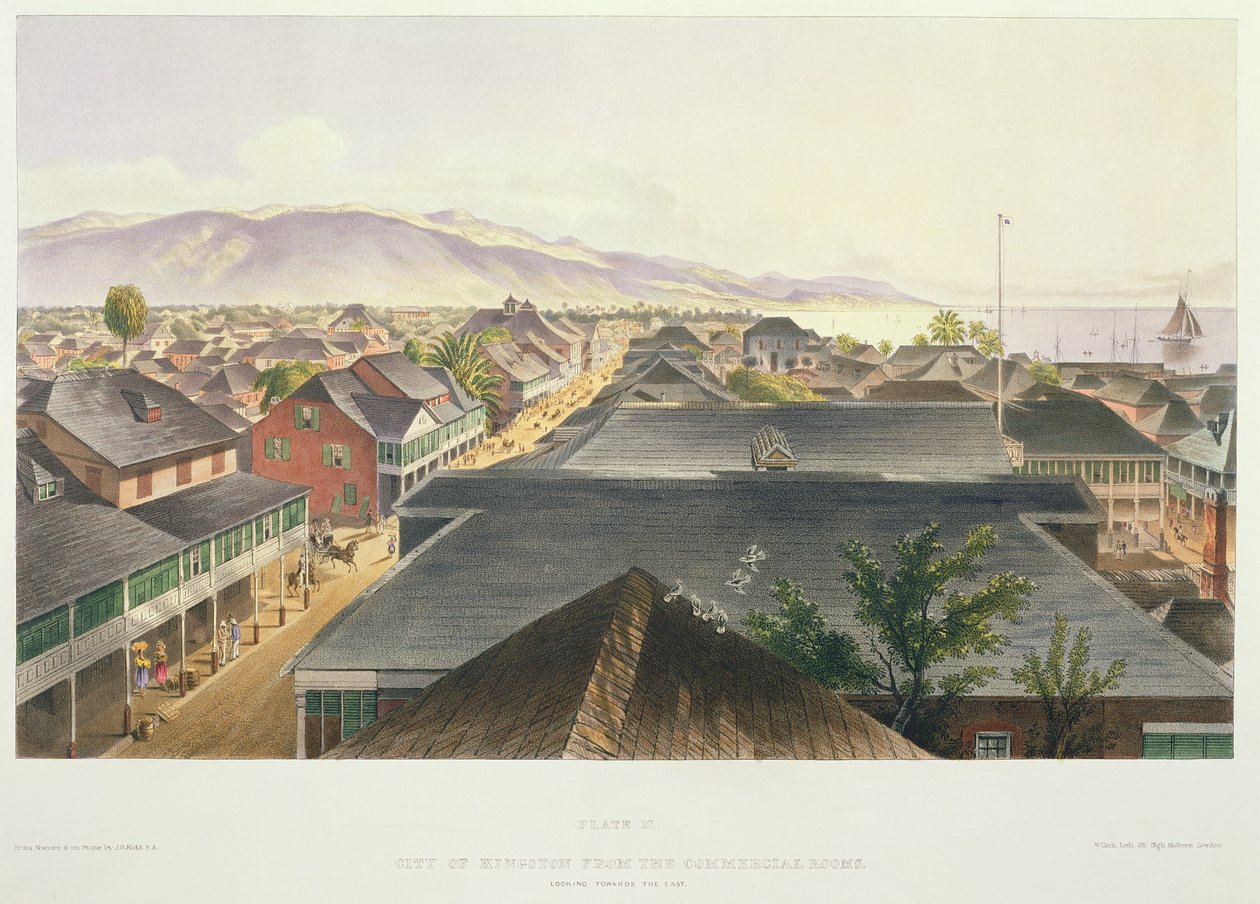 Město Kingston z komerčních místností, pohled na východ, deska 17 z „West Indian Scenery: Illustrations of Jamaica“, vyryto umělcem, hospoda. 1838-40 od Joseph Bartholomew Kidd