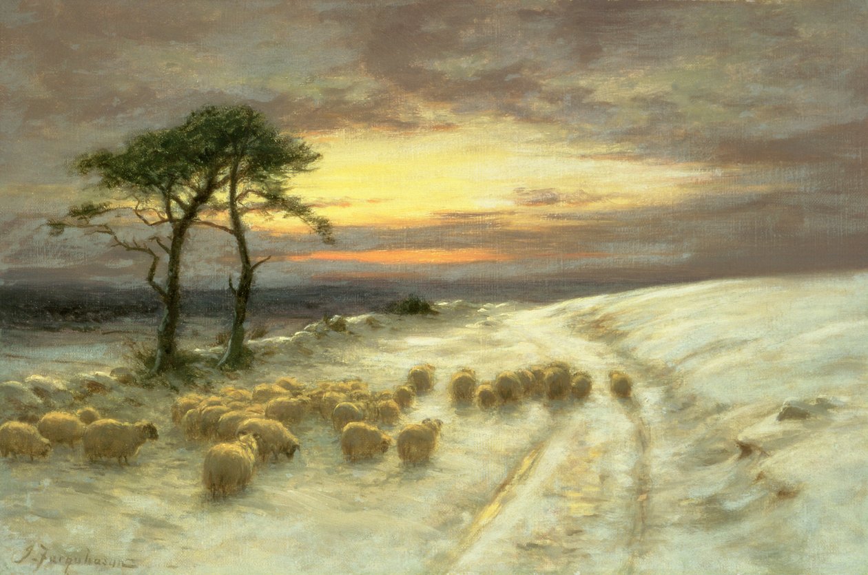 Ovce na sněhu od Joseph Farquharson
