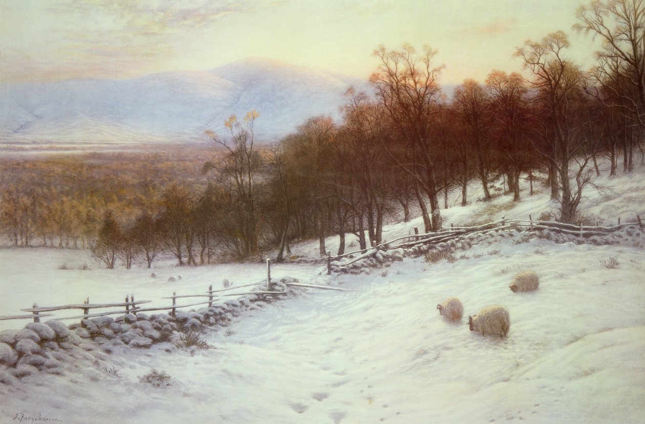 Zasněžená pole s ovcemi od Joseph Farquharson