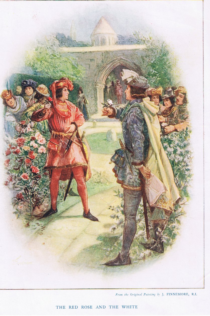 Červená růže a bílá, ilustrace z 