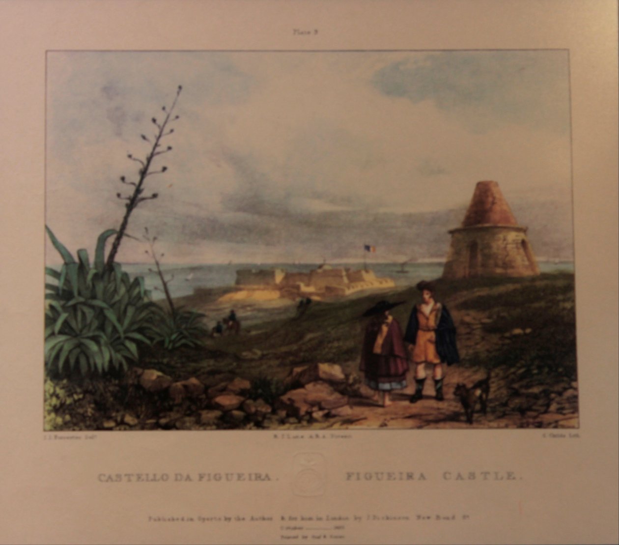 hrad z fíkovníku od Joseph James Forrester – Baron of Forrester