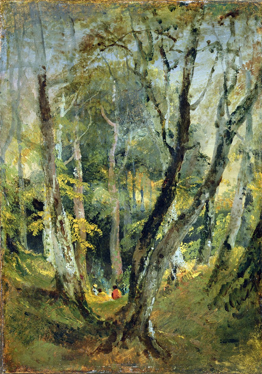 Bukové dřevo s Cikány sedícími v dálce, kolem 1799-1801 (olej na papíře položený na panelu) od Joseph Mallord William Turner