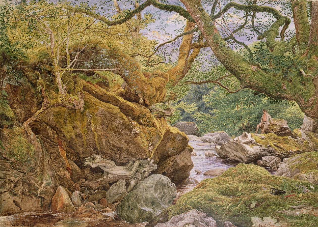 Studie z přírody: Inveruglas, 1857 od Joseph Noel Paton
