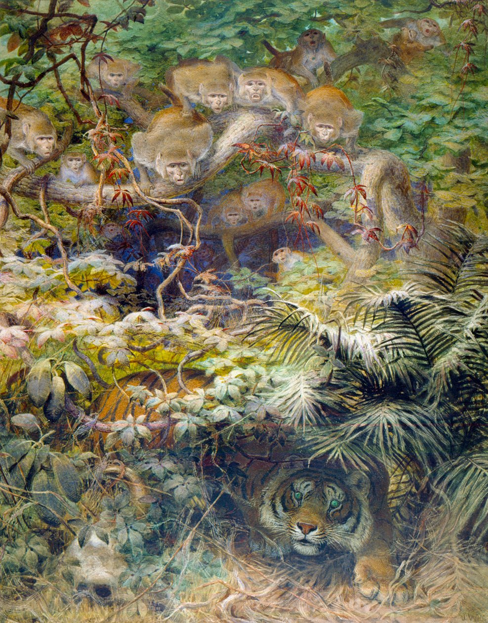 Řádek v džungli, 1863 od Joseph Wolf
