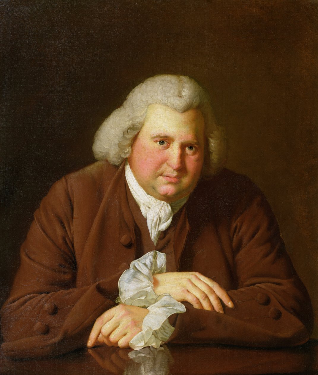Portrét Dr. Erasma Darwina (1731-1802), vědce, vynálezce a básníka, dědečka Charlese Darwina, kolem roku 1770 od Joseph Wright of Derby
