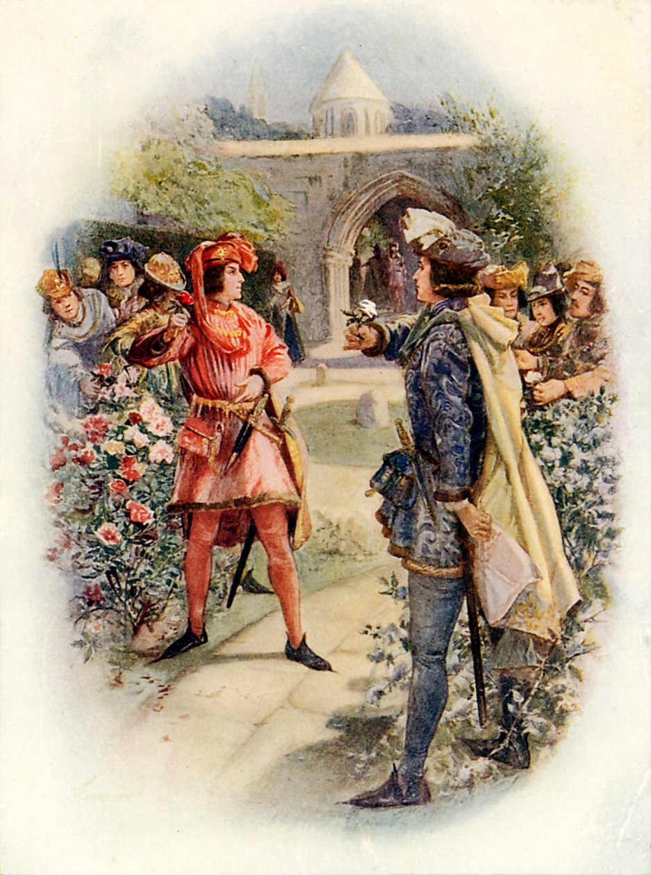 Červená a bílá růže (barevná litografie) od Joseph (after) Finnemore