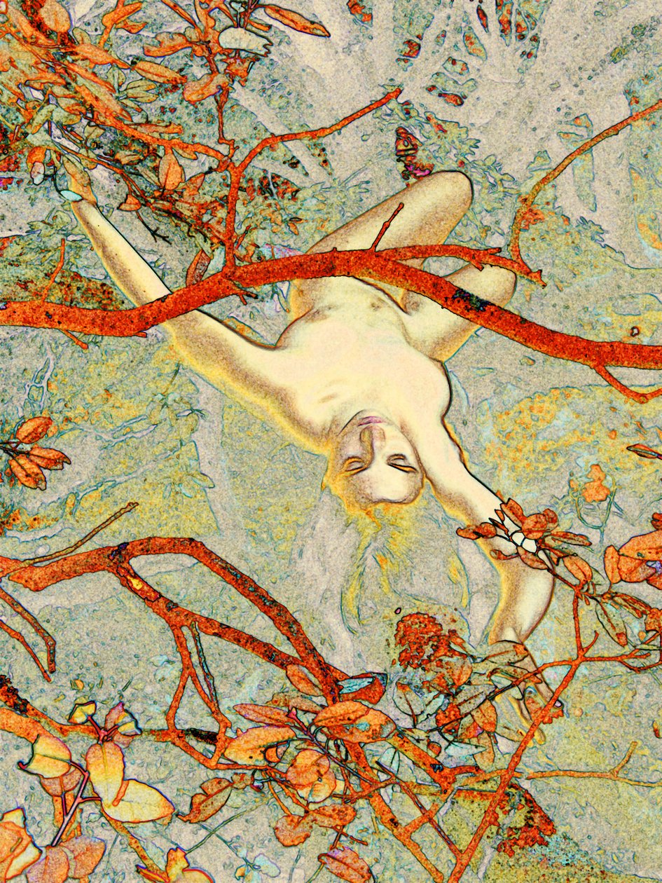 Alice v Cévennes 2 od Joseph Angilella Auquier