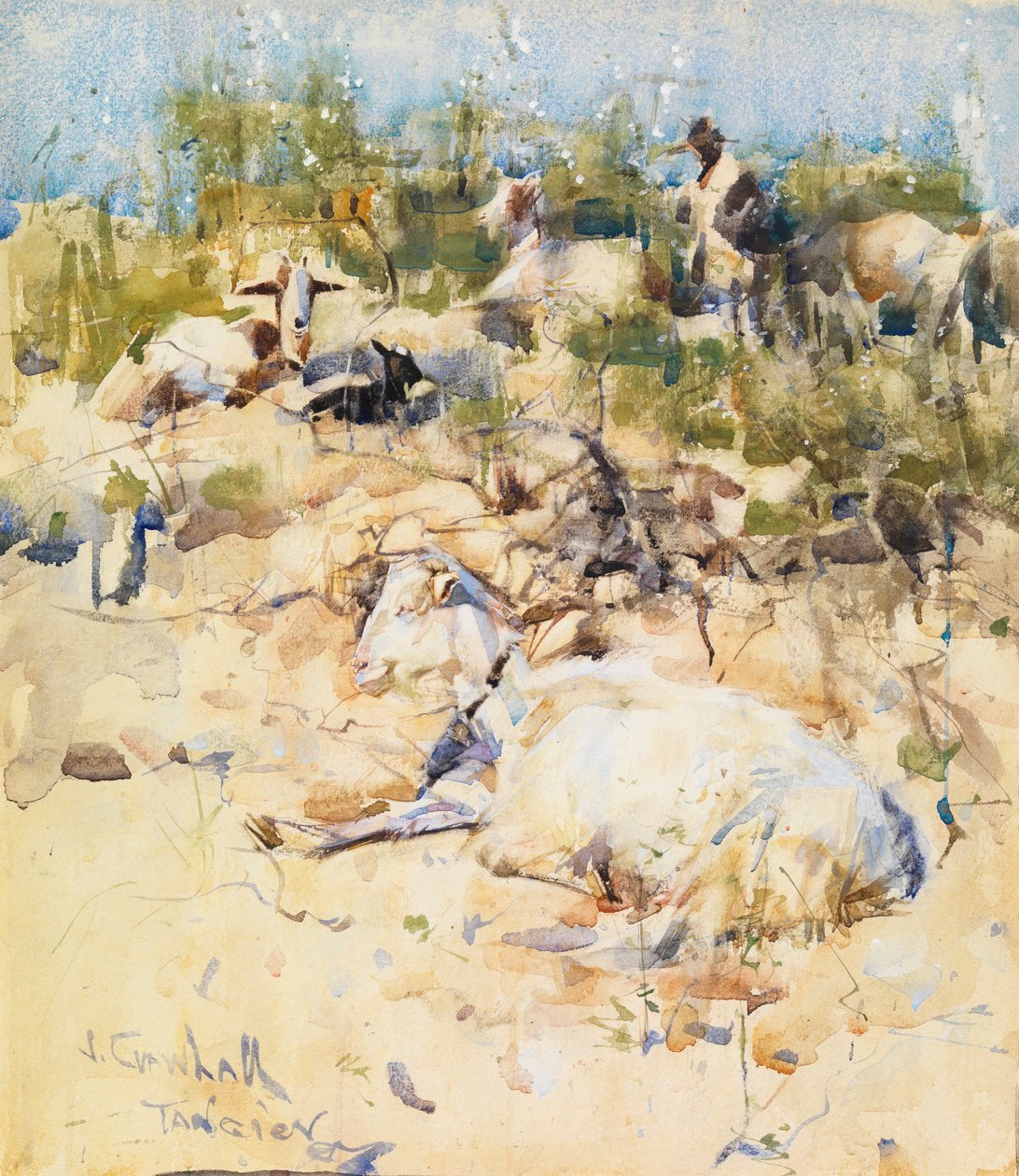 czech od Joseph Crawhall