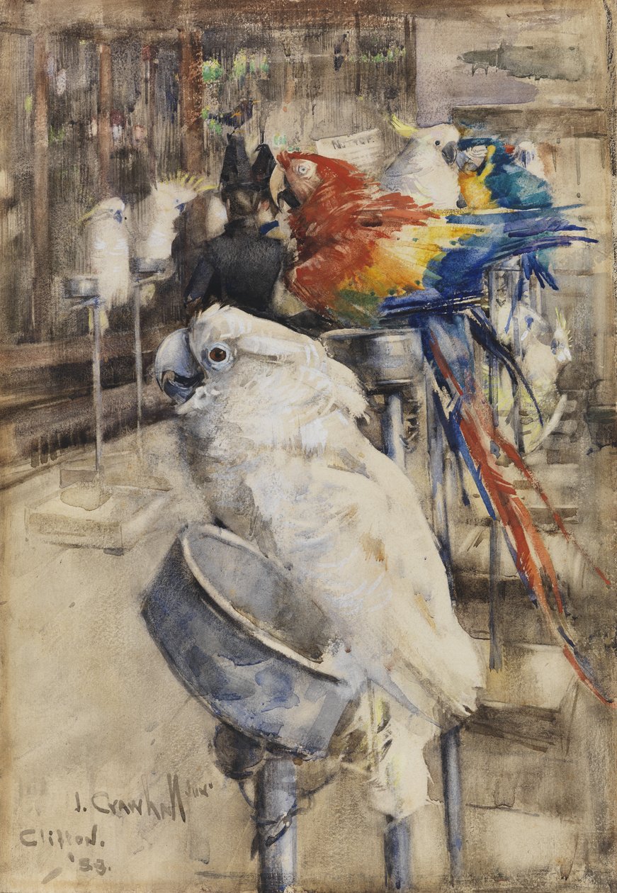 Voliéra, Cliftone od Joseph Crawhall