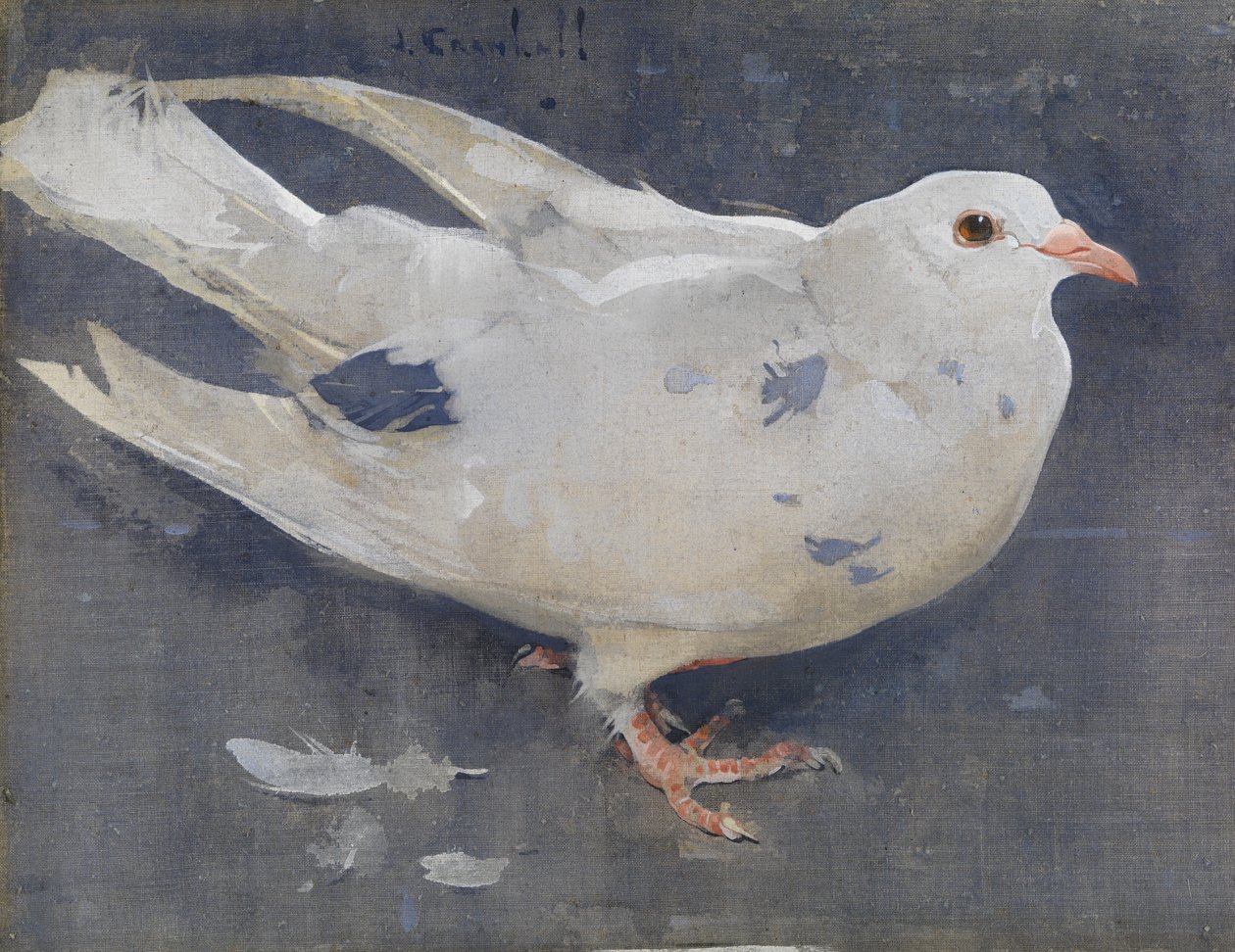 The Pigeon (kvaš na plátně) od Joseph Crawhall