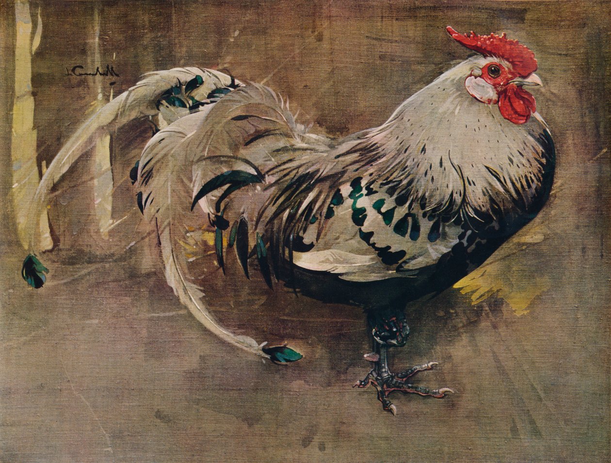 The Sangled Cock, 1903 1935 od Joseph Crawhall