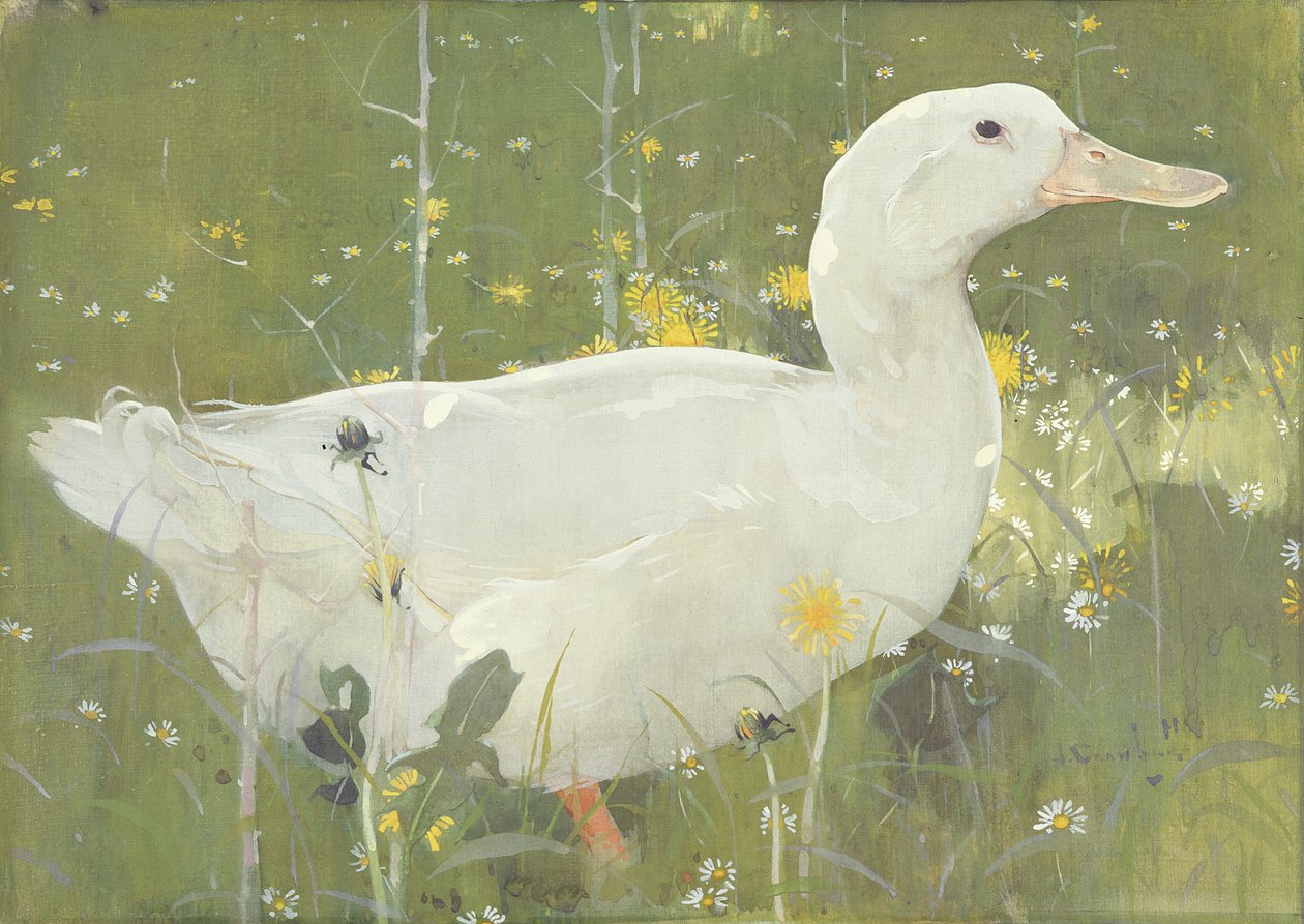 The White Drake (kvaš na plátně) od Joseph Crawhall