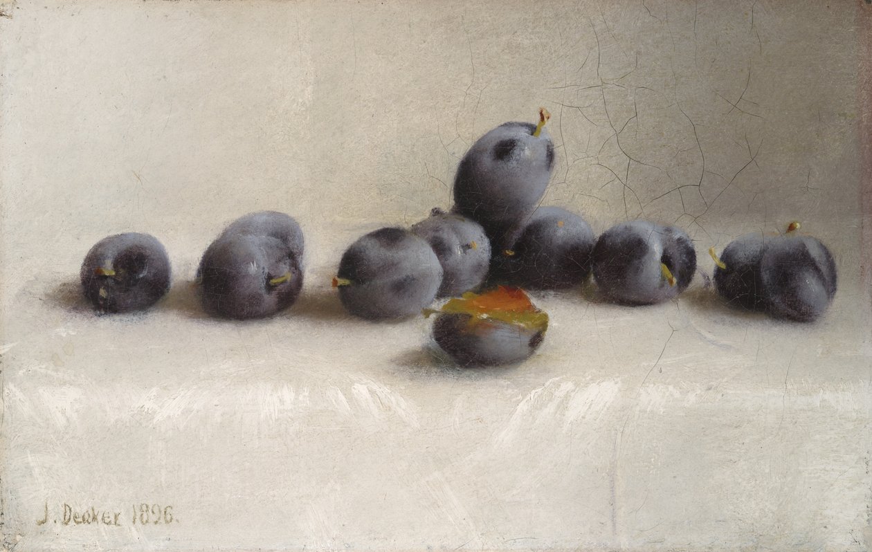 Dvanáct švestek, 1896 od Joseph Decker