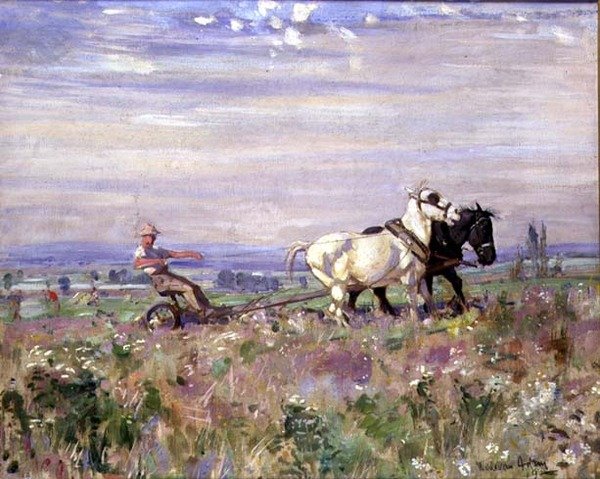 Tým Pluh od Joseph Denovan II Adam