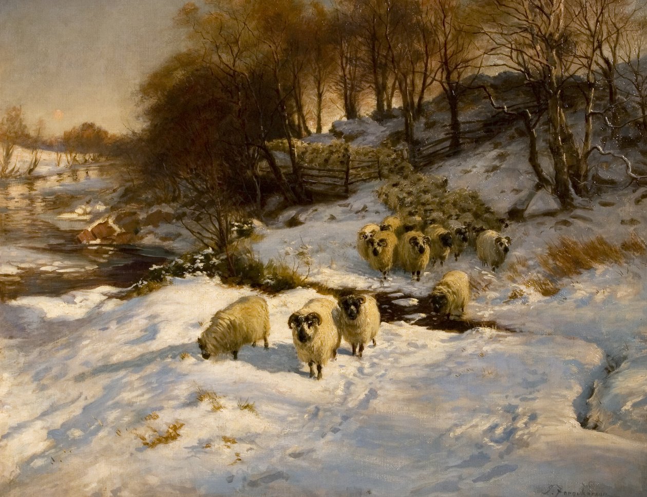Ovce ve sněhu od Joseph Farquharson