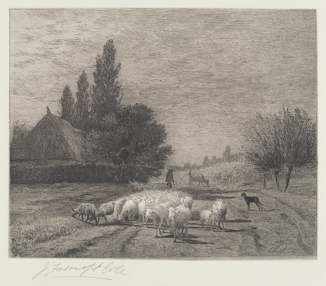 Village Street ve Francii se stádem ovcí od Joseph Foxcroft Cole