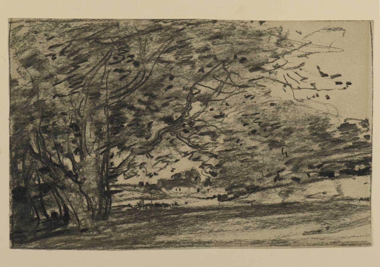 Studie o stromech, 1870 (grafit na papíře) od Joseph Frank Currier