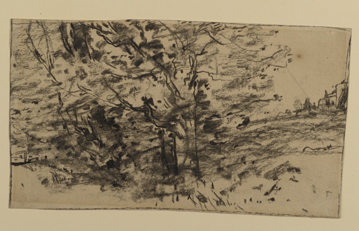 Studie o stromech, 1870 (grafit na papíře) od Joseph Frank Currier