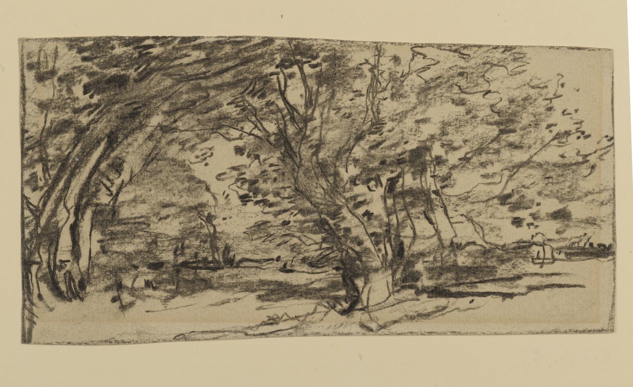 Studie o stromech, 1870 (grafit na papíře) od Joseph Frank Currier
