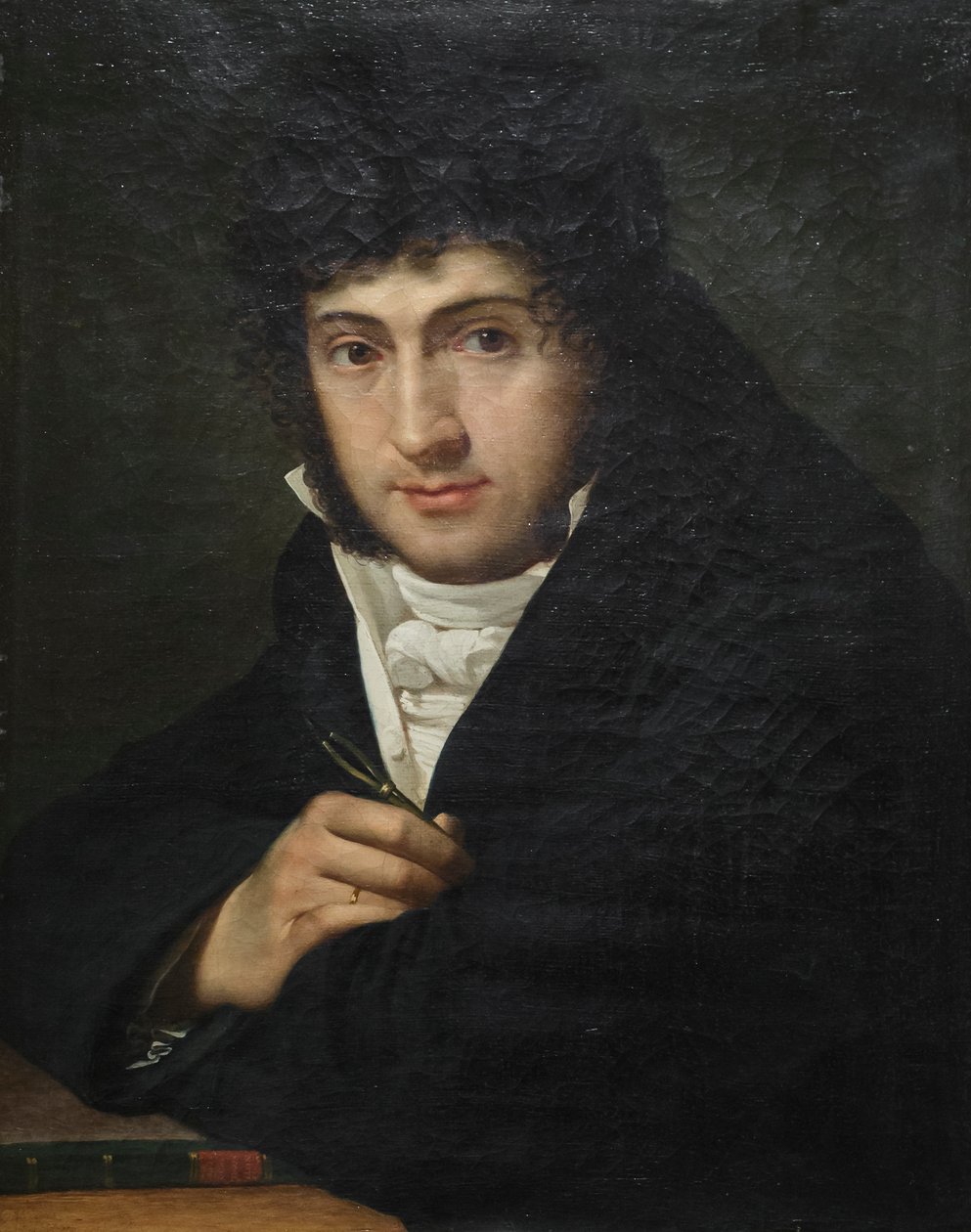Portrét Pelagia Palagiho, Joseph François Ducq (olej na plátně) od Joseph François Ducq