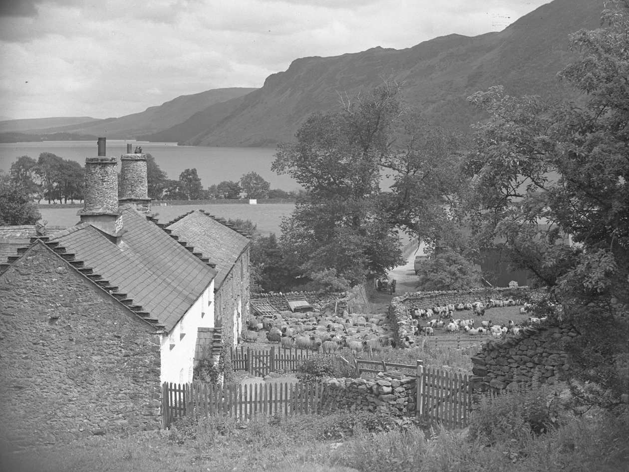 Hospodářské budovy s ovcemi na dvoře a Ullswater v pozadí od Joseph Hardman