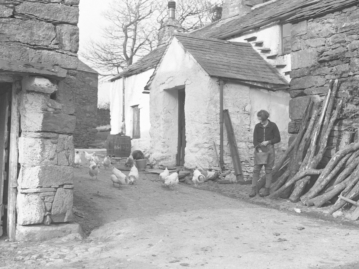 Land Girl krmí drůbež na farmě v Ulpha v Duddon Fells od Joseph Hardman