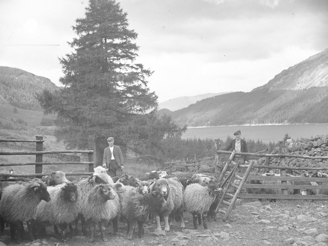 Dva pastýři se stádem ovcí a Thirlmere za nimi od Joseph Hardman