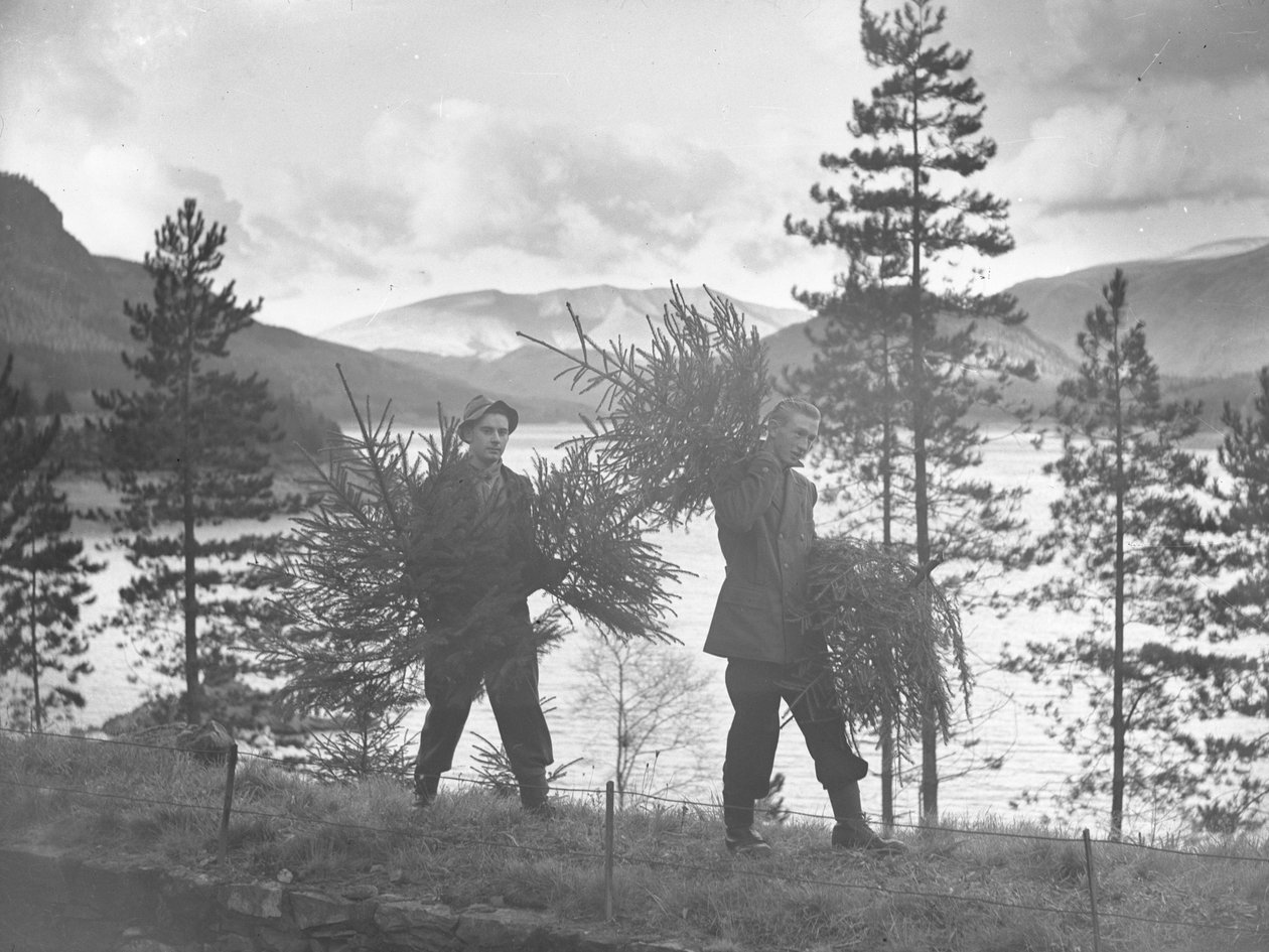 Dva mladí muži nesoucí malé vánoční stromky na břehu Thirlmere od Joseph Hardman