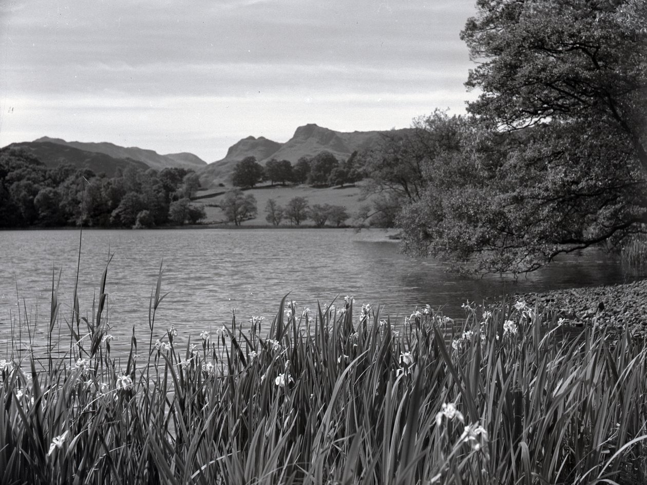 Pohled na Loughrigg Tarn od Joseph Hardman