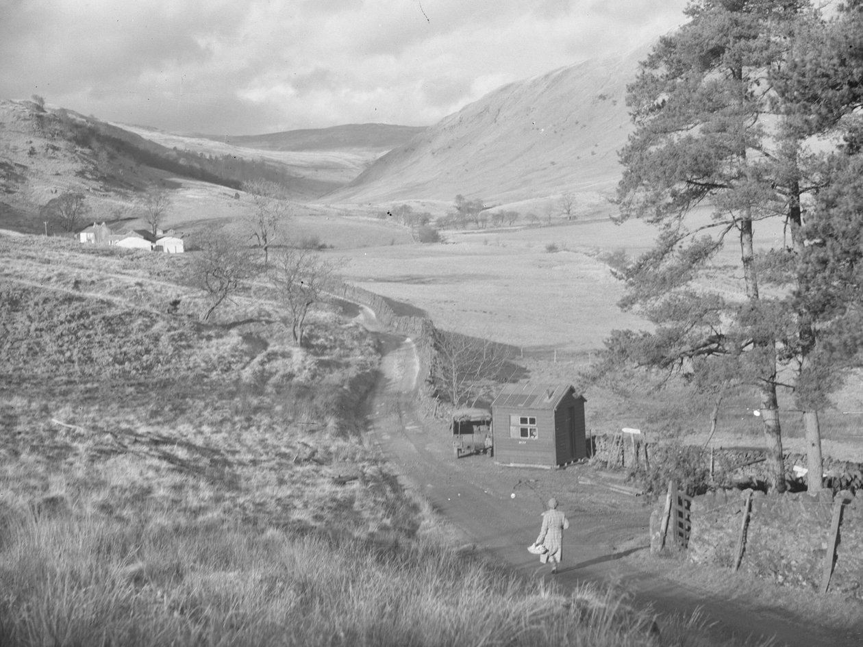 Pohled na pole a údolí Bannisdale od Joseph Hardman