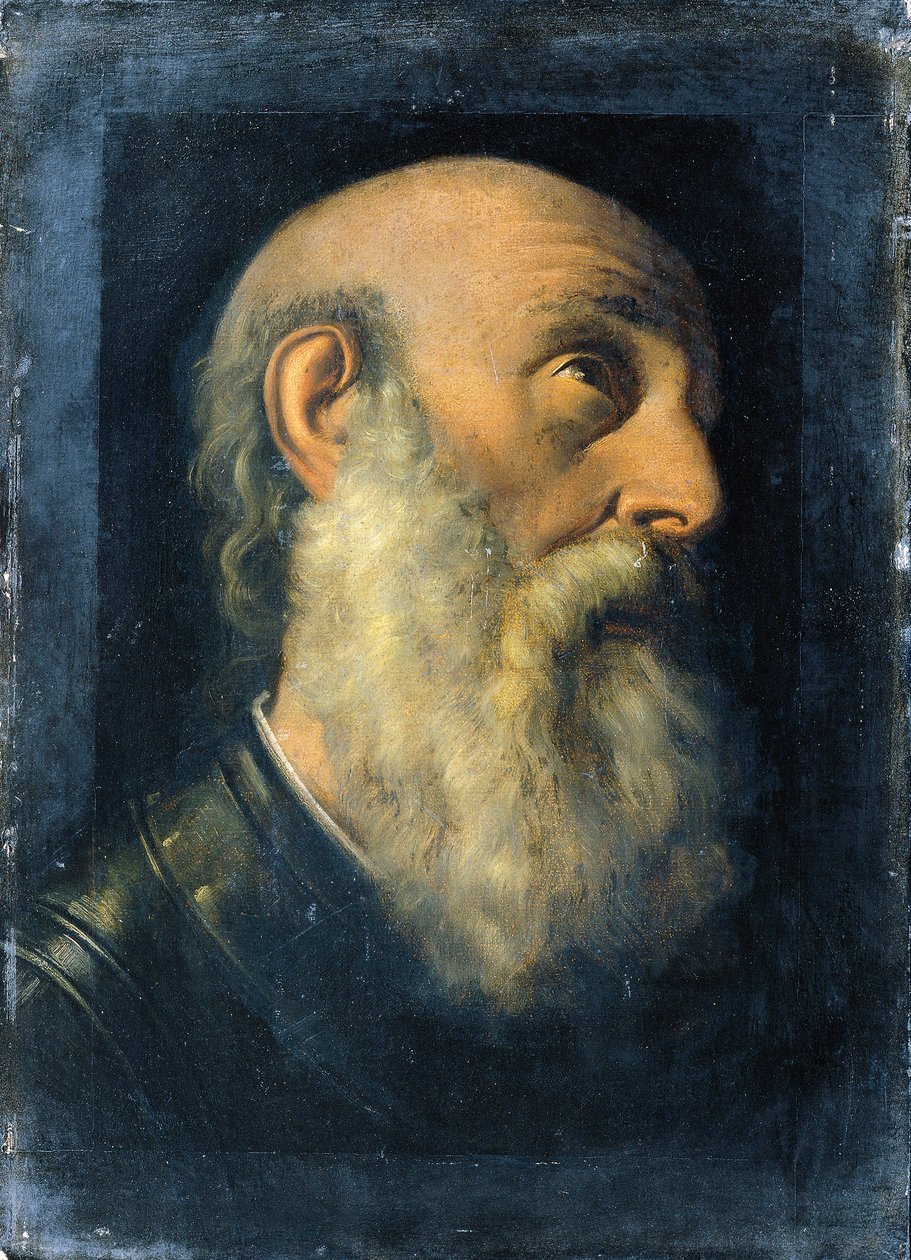 Studijní hlava apoštola od Joseph Hasslwander