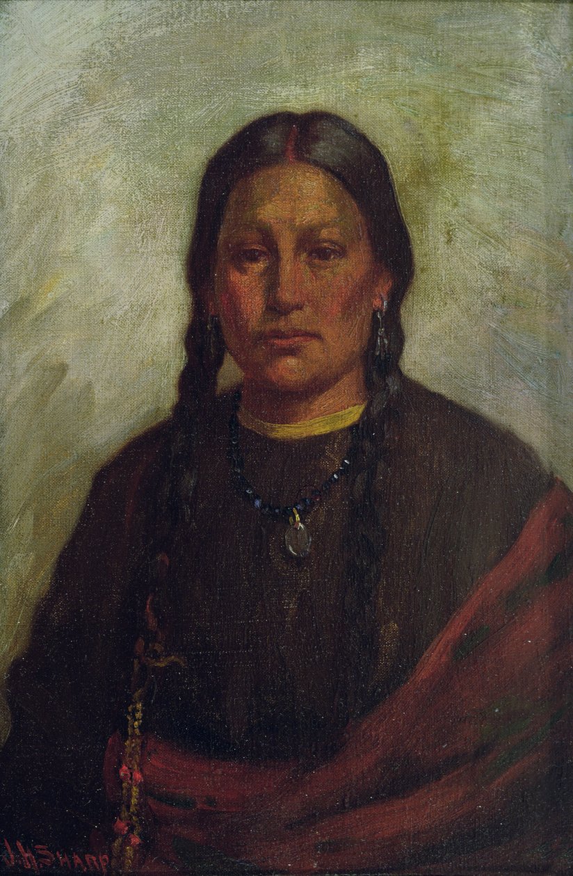 Dcera náčelníka Malého náčelníka (olej na plátně) od Joseph Henry Sharp