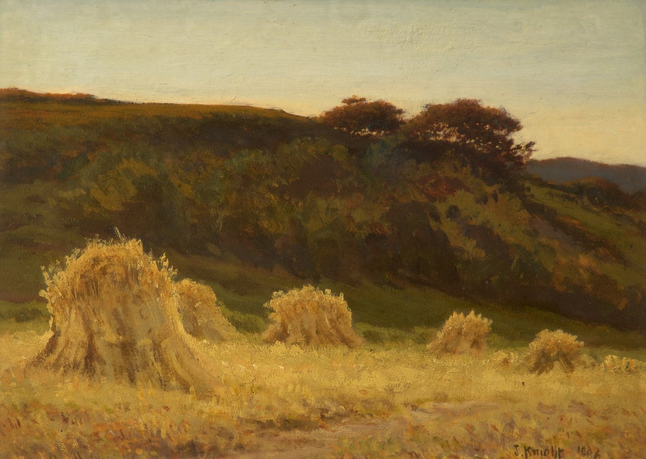Kukuřičné pole od Joseph Knight