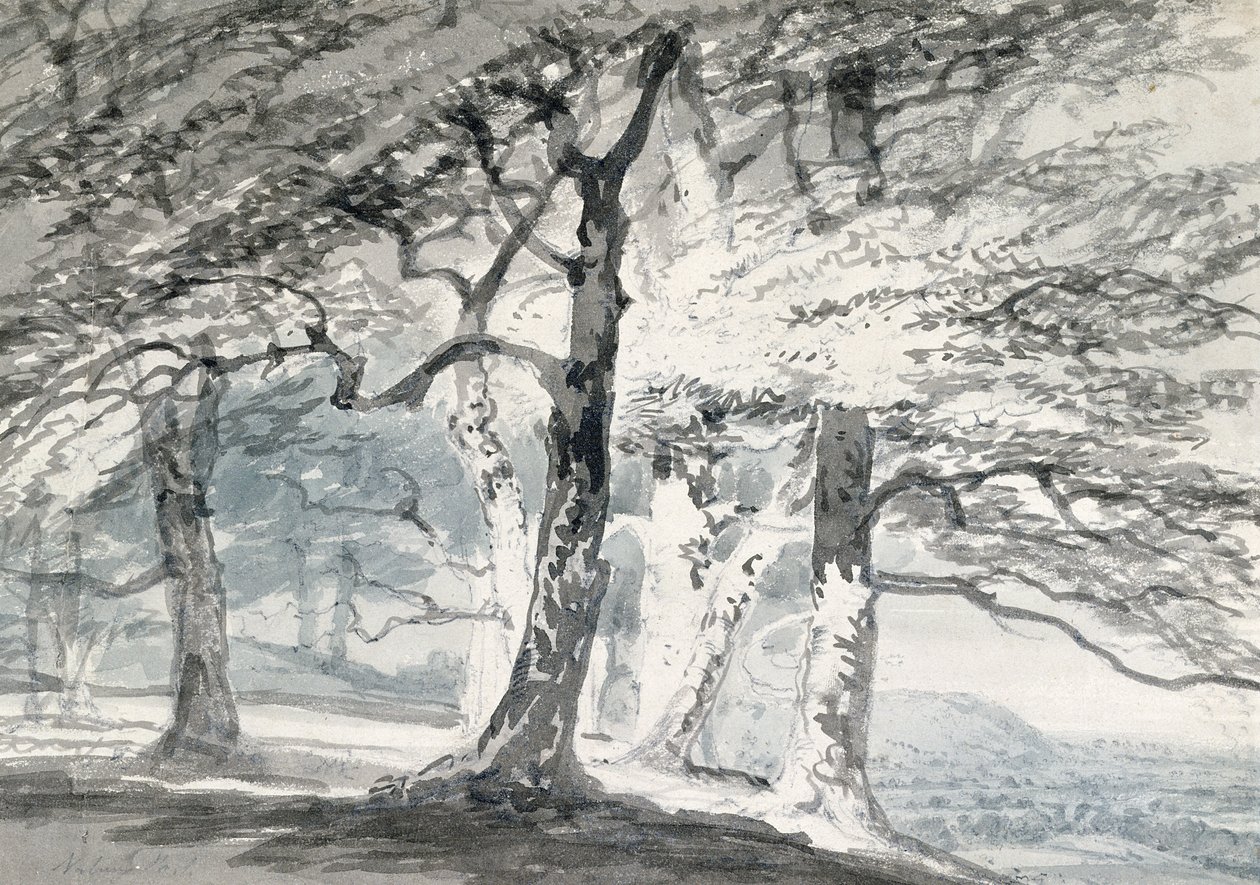 Norbury Park, Surrey (tužka a akvarel na papíře) od Joseph Mallord William (attr.to) Turner