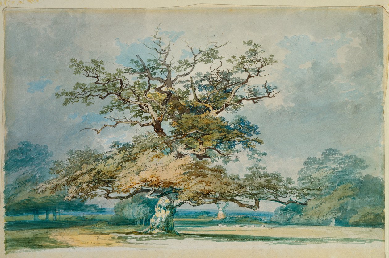 Krajina se starým dubem od Joseph Mallord William Turner