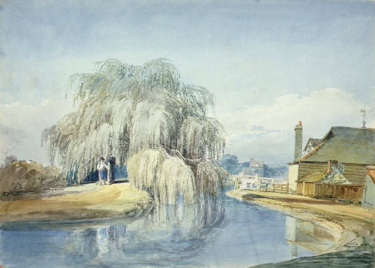Smuteční vrba (akvarel na papíře) od Joseph Mallord William Turner