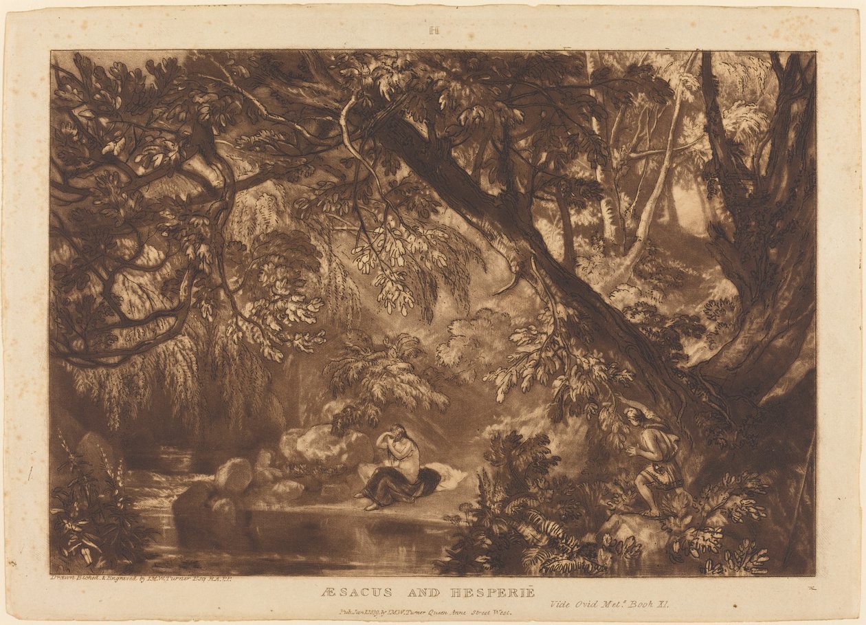 Aesacus a Hesperie od Joseph Mallord William Turner