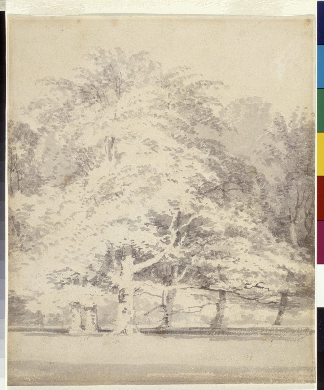 Buky (šedý inkoust myje tužku na bílém papíře) od Joseph Mallord William Turner