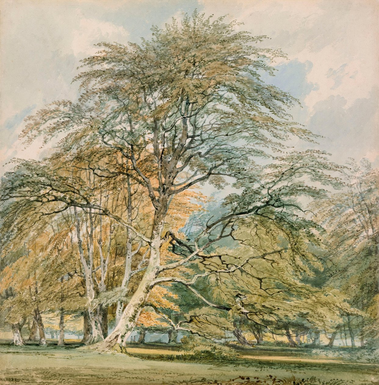 Buky v Norbury Parku, Leatherhead, Surrey od Joseph Mallord William Turner