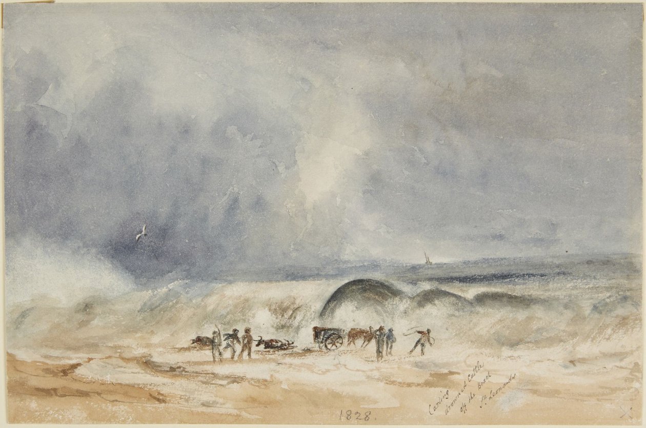 Odvoz utopeného skotu z pláže, St. Leonards od Joseph Mallord William Turner
