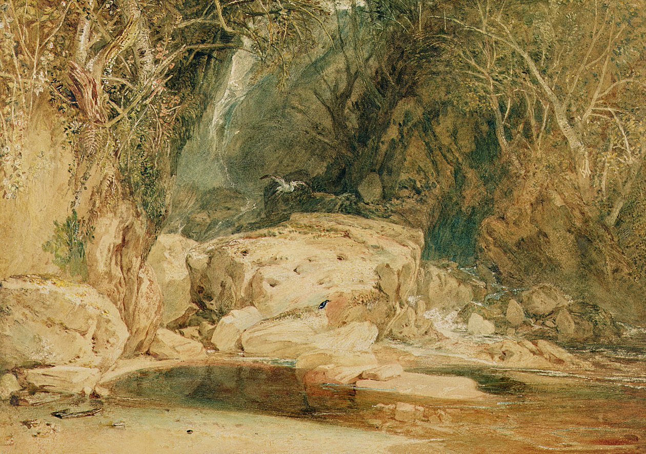 Lonely Dell, Wharfedale, cca 1818 (akvarel na papíře) od Joseph Mallord William Turner