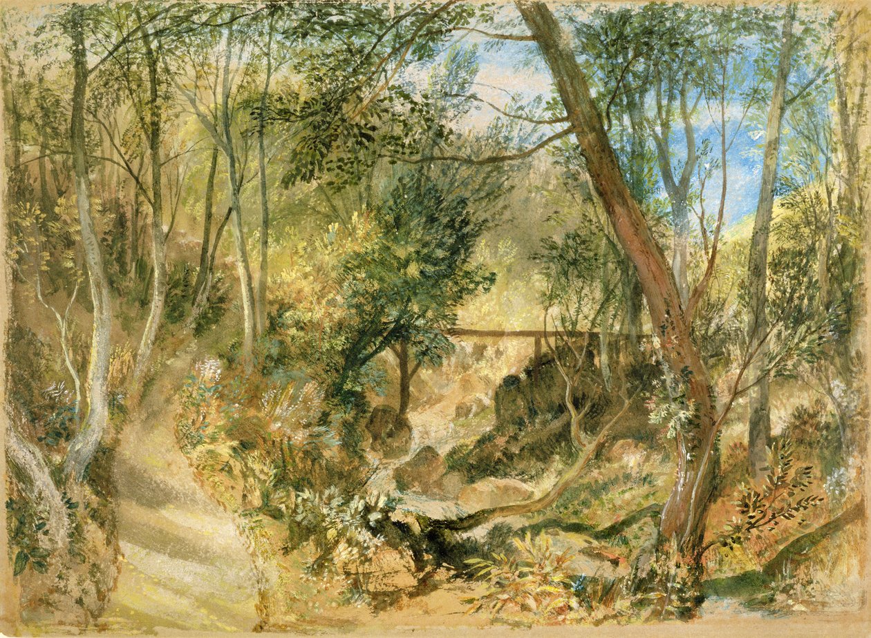 PD.50-1958 Lesní chodník, Farnley Hall, asi 1818 (kvaš a čb) od Joseph Mallord William Turner