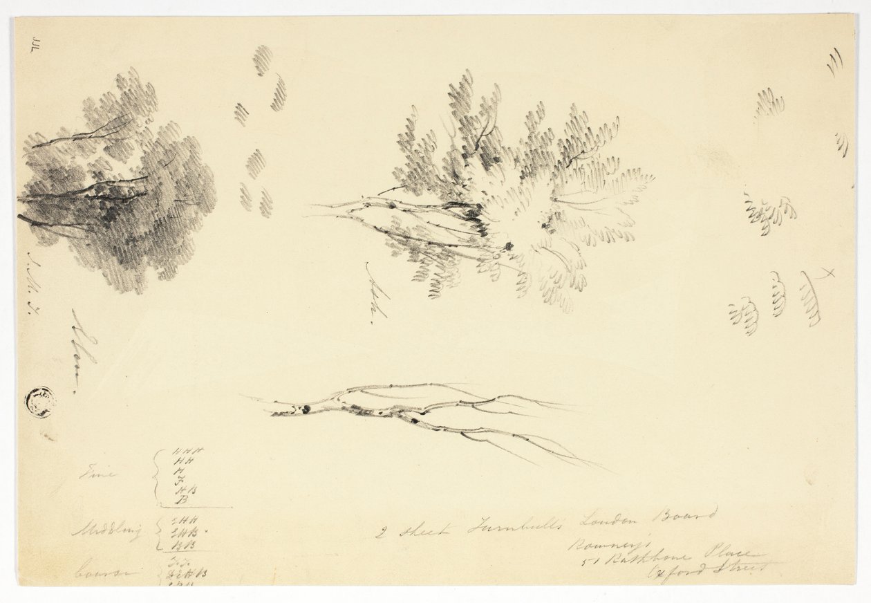 Náčrtky jilmů a jasanů od Joseph Mallord William Turner