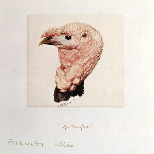 Turecko (akvarel na papíře) od Joseph Mallord William Turner