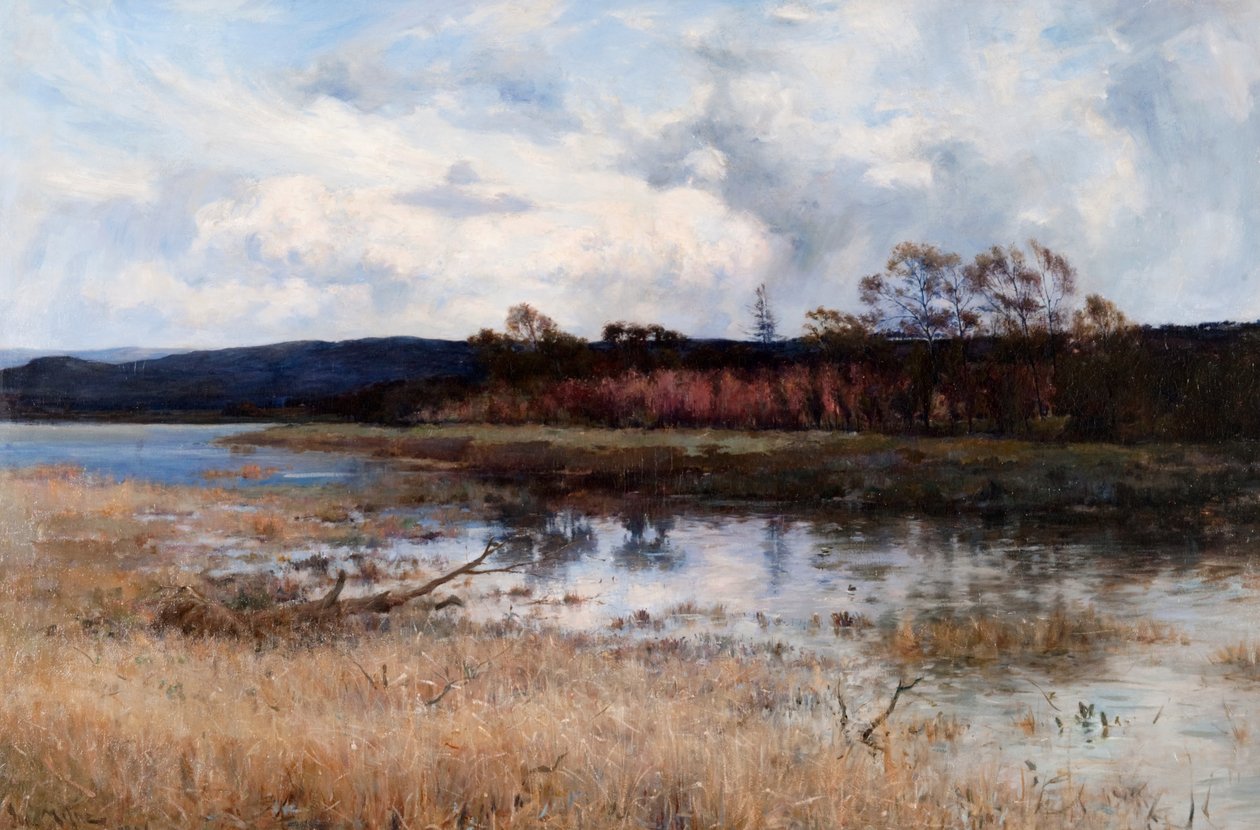 Tay Backwater, Kinfauns, Perthshire od Joseph Milne