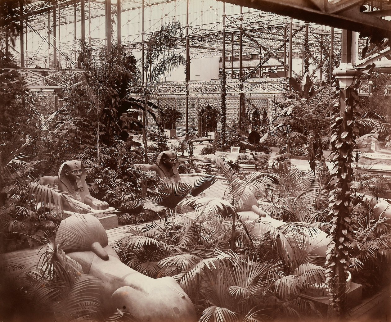 Crystal Palace v Londýně: tropická část, kolem roku 1870 (černobílá fotografie) od Joseph Paxton
