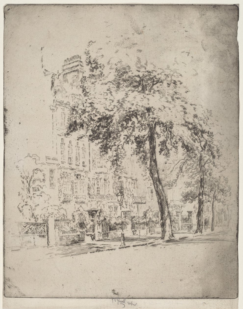 Velký strom, Cheyne Walk od Joseph Pennell