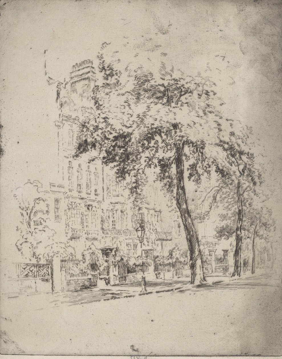 Velký strom, Cheyne Walk, 1906. od Joseph Pennell