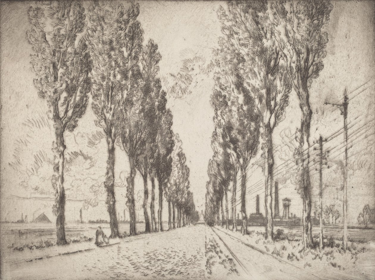 Avenue, Valenciennes, 1910. od Joseph Pennell