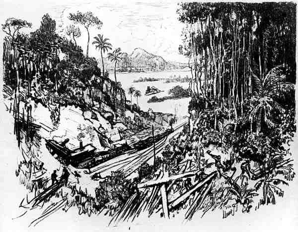 Džungle: z knihy The Panama Canal od Josepha Pennella, 1912 (uhel na papíře). od Joseph Pennell